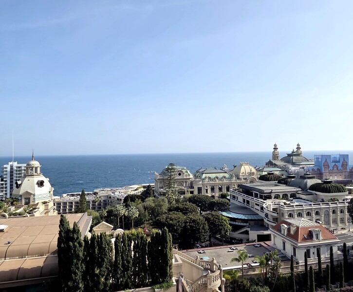 Magnifique Studio "Les Floralies"