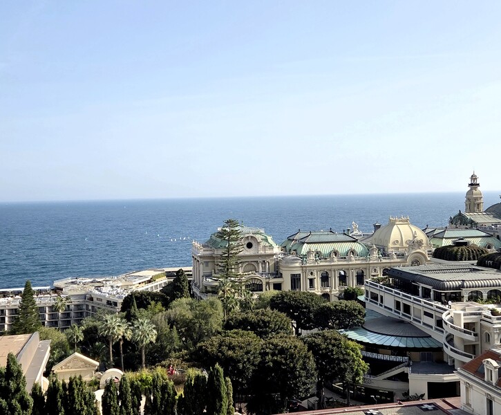 Magnifique Studio "Les Floralies"