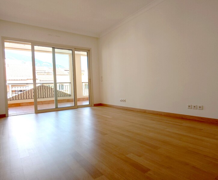 Unique !!! Penthouse avec piscine privée-Fontvieille