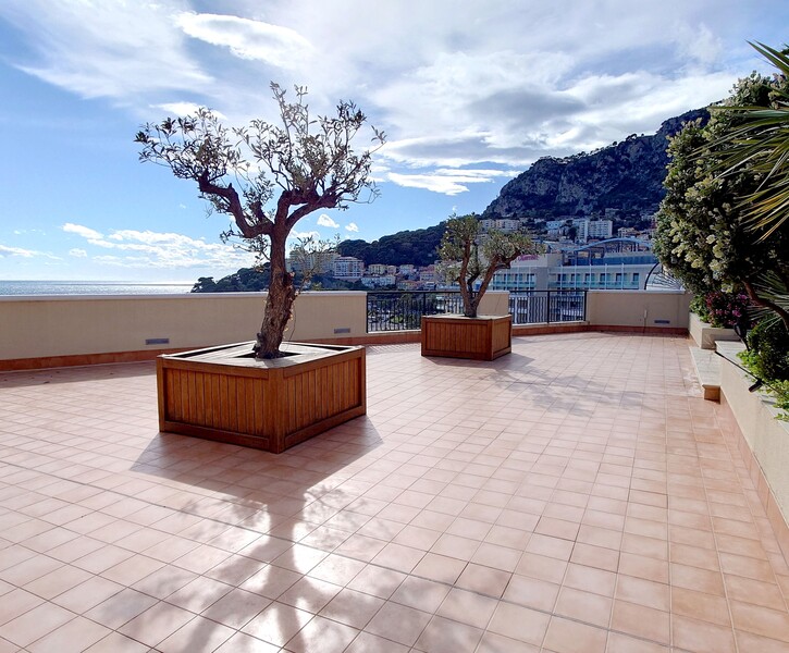 Unique !!! Penthouse avec piscine privée-Fontvieille