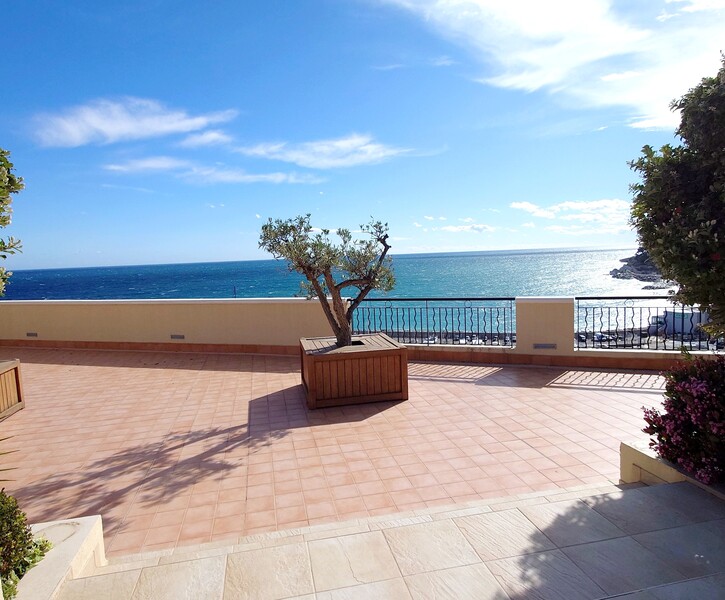 Unique !!! Penthouse avec piscine privée-Fontvieille