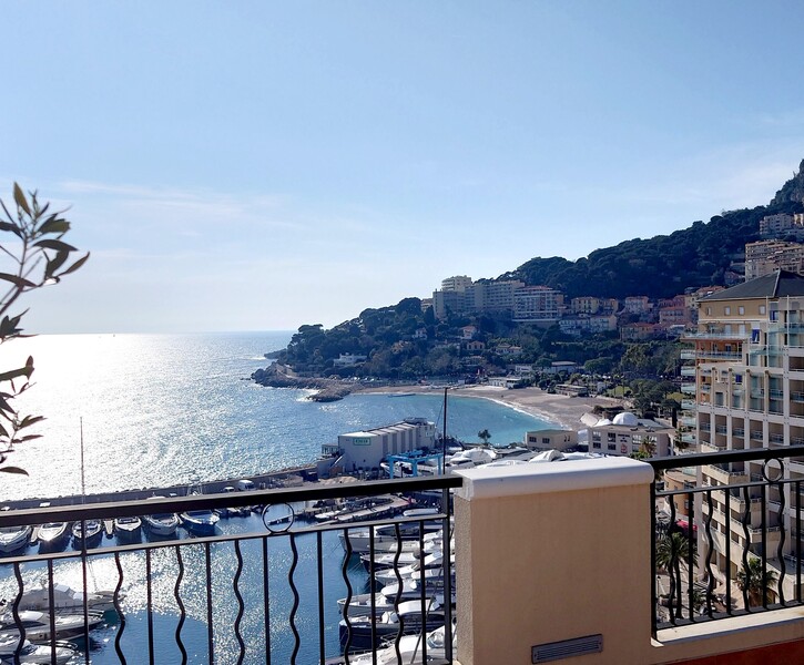 Unique !!! Penthouse avec piscine privée-Fontvieille