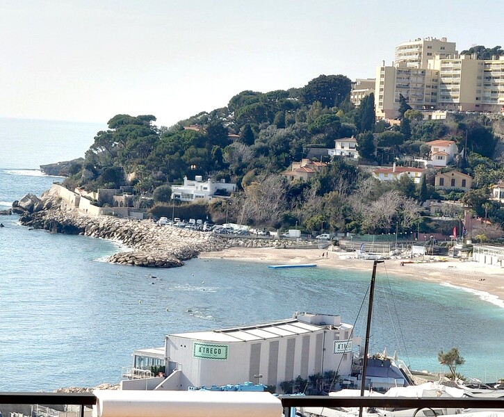 Unique !!! Penthouse avec piscine privée-Fontvieille