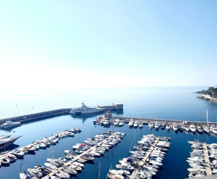 Unique !!! Penthouse avec piscine privée-Fontvieille