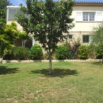 Charming "pied à terre" in a Mougins private gated area - 4