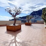 Unique !!! Penthouse with private pool-Fontvieille - 10